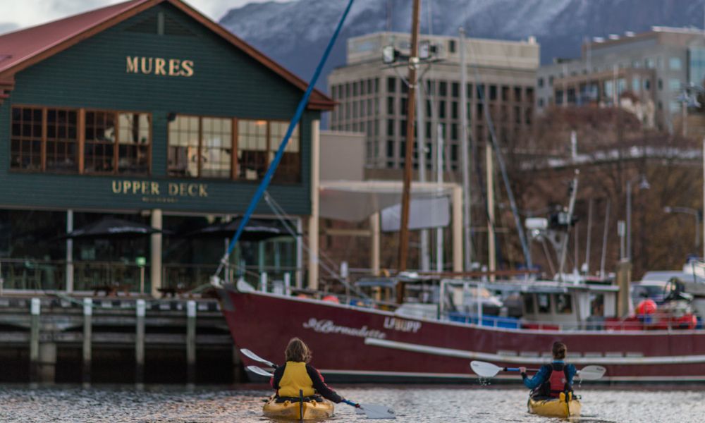 Guided Kayaking, 2 Hours - Hobart City Harbour