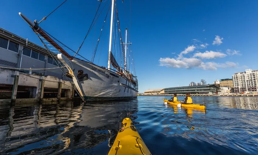 Guided Kayaking, 2 Hours - Hobart City Harbour