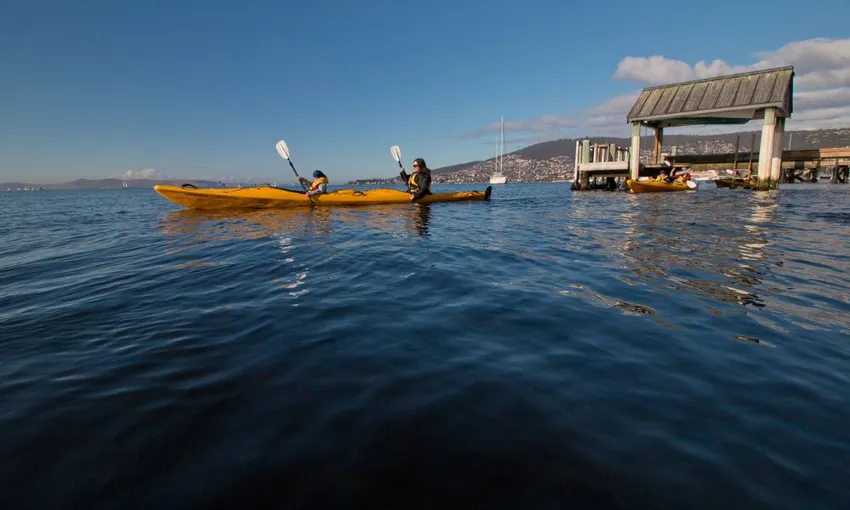 Guided Kayaking, 2 Hours - Hobart City Harbour