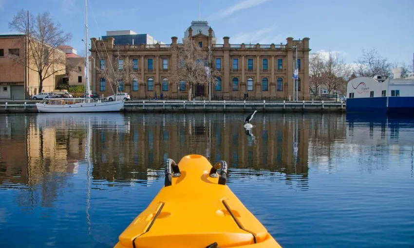 Guided Kayaking, 2 Hours - Hobart City Harbour