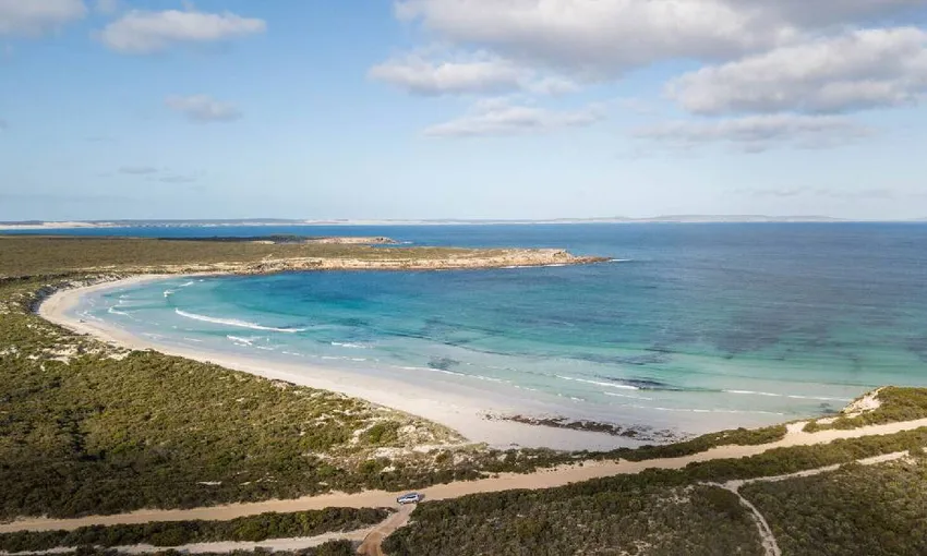Port Lincoln Wildlife and Wine Tasting Day Tour | Experience Oz