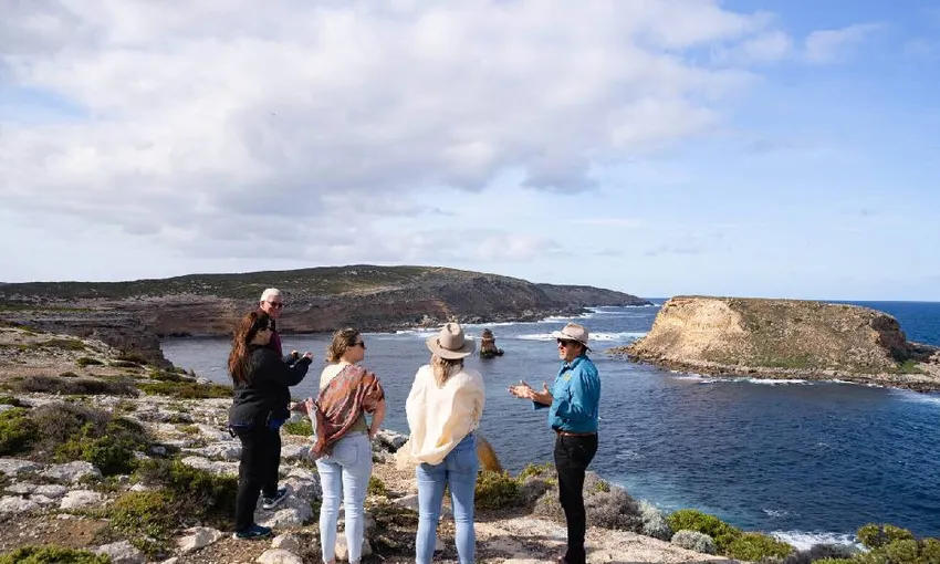 Port Lincoln Wildlife and Wine Tasting Day Tour | Experience Oz