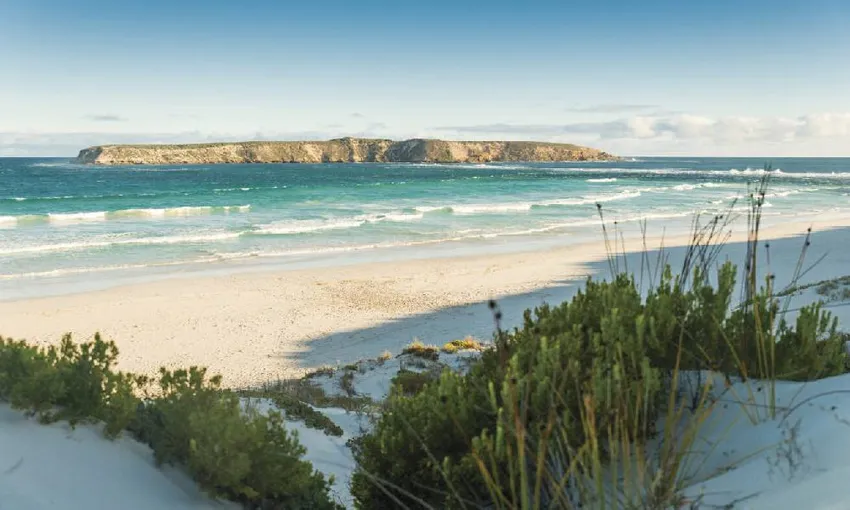 Coffin Bay and Port Lincoln Day Tour- Book Now | Experience Oz