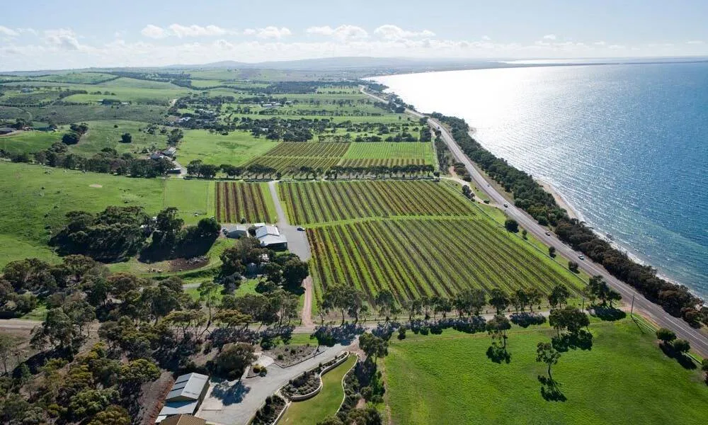 Coffin Bay and Port Lincoln Day Tour- Book Now | Experience Oz-6