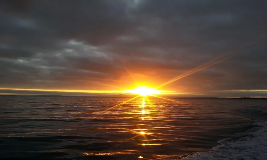 Sorrento Sea Fishing Adventure, 5 Hours