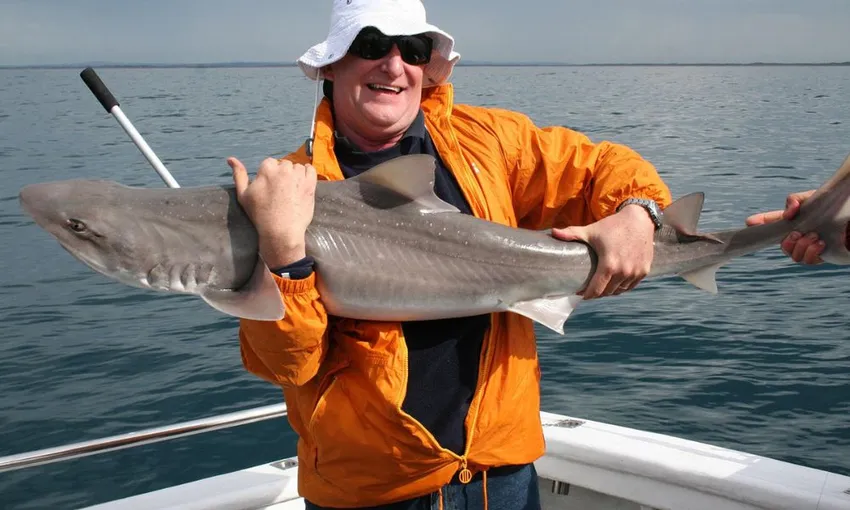 Sorrento Sea Fishing Adventure, 5 Hours