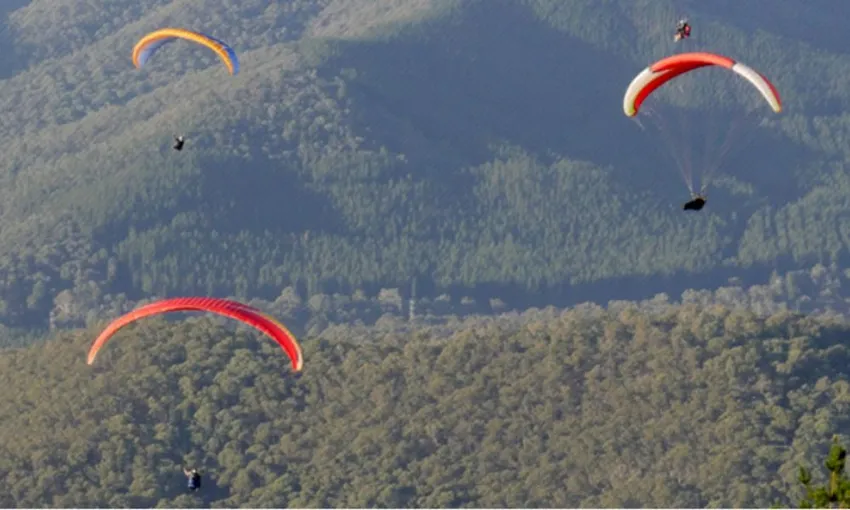 Paragliding Tandem Flight, 30 Minutes - Bright, Victoria