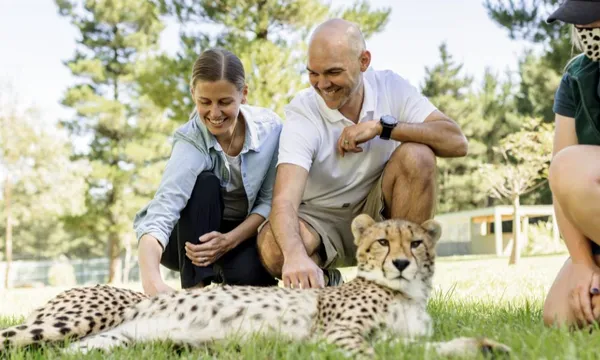 Canberra National Zoo Entry and Cheetah Encounter