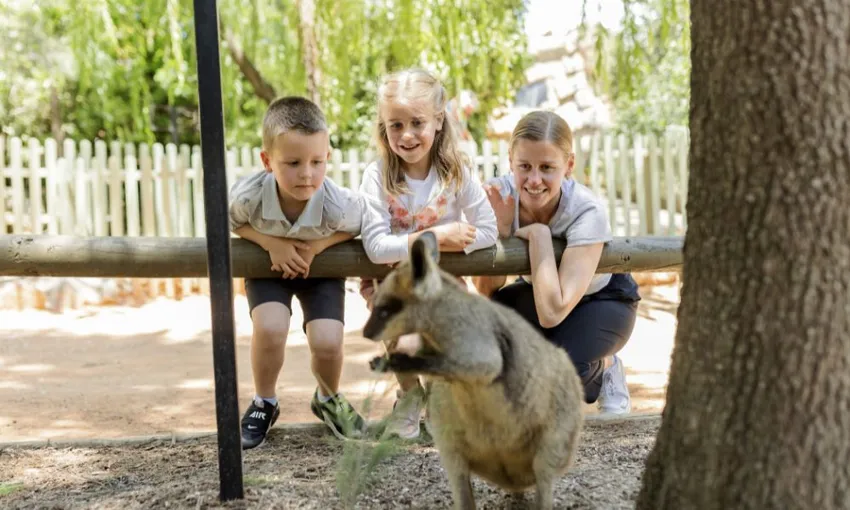Canberra National Zoo Entry and Cheetah Encounter