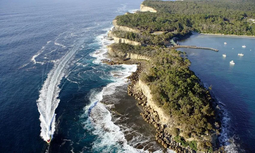 Tasman Island Day Cruise with Tasmanian Devil Park from Hobart