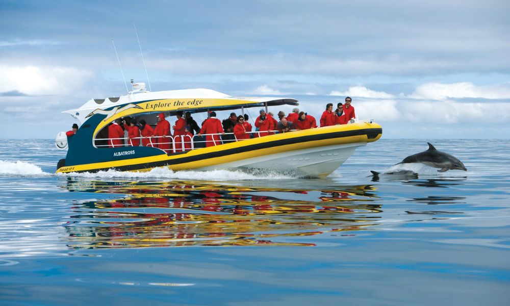Tasman Eco Cruise and Port Arthur Historic Site