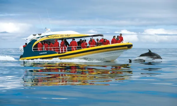 Tasman Eco Cruise and Port Arthur Historic Site