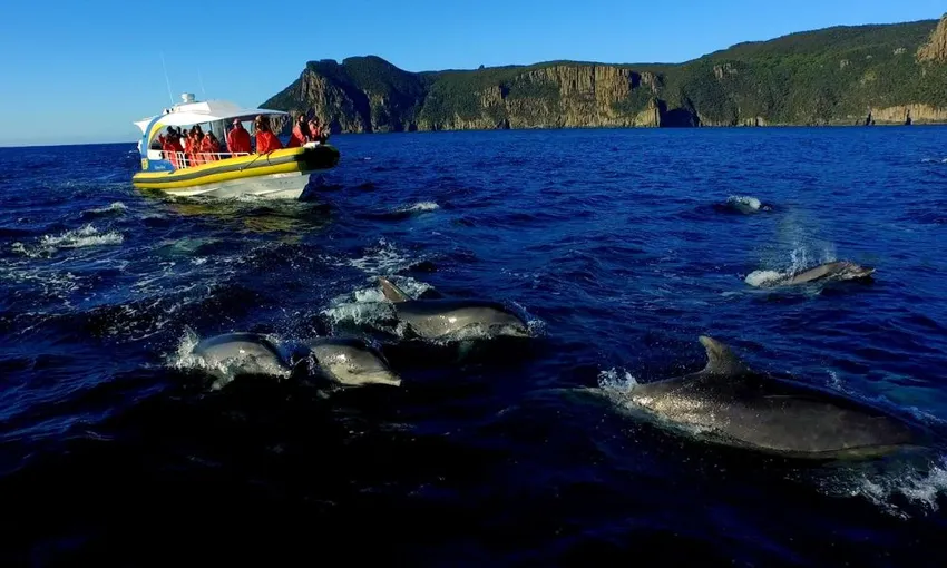 Tasman Eco Cruise and Port Arthur Historic Site