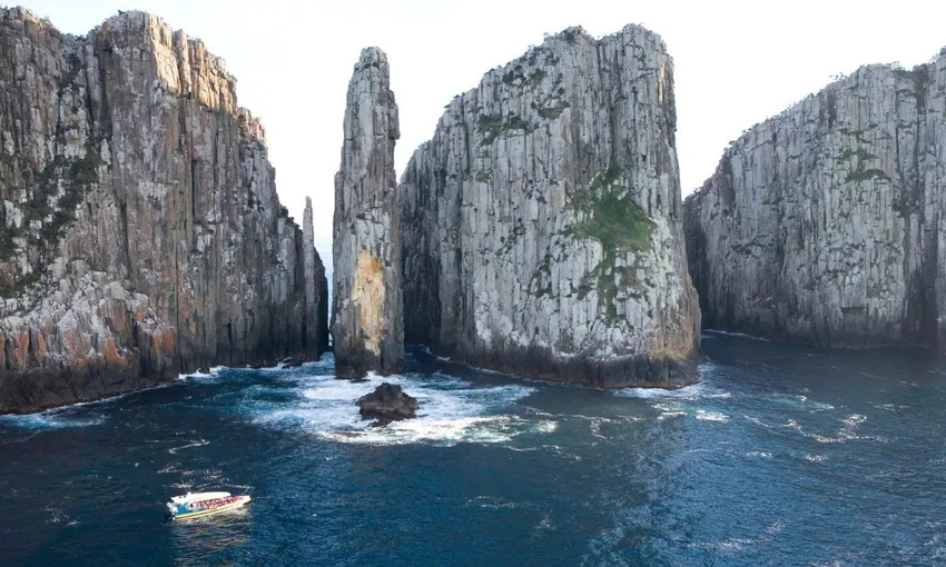 Tasman Eco Cruise and Port Arthur Historic Site