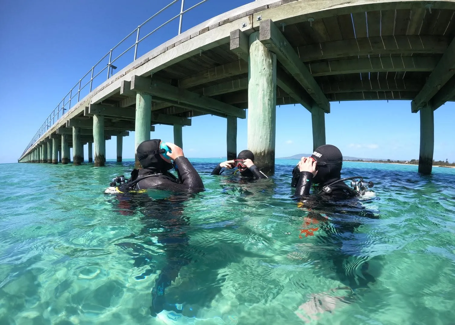 Melbourne Scuba Diving - Book Now | Experience Oz-4