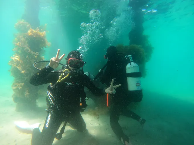 Melbourne Scuba Diving - Book Now | Experience Oz