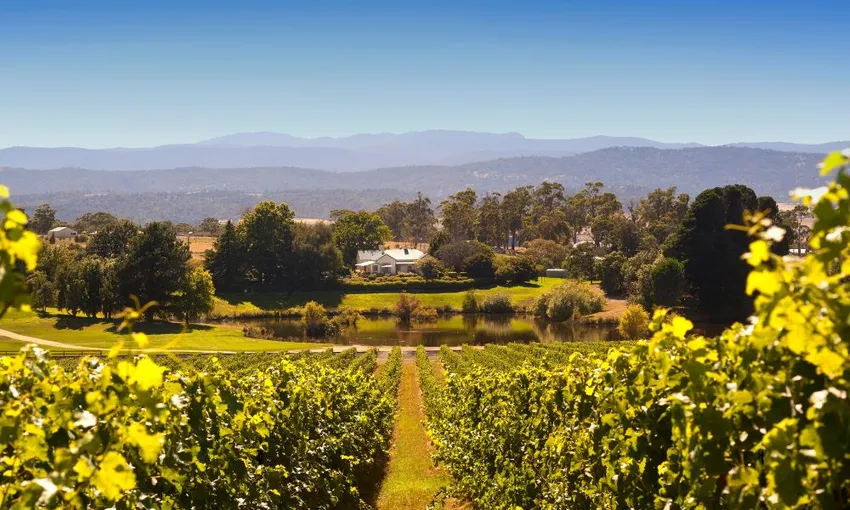 Josef Chromy Winery Tour and Lunch - Book Now | Experience Oz