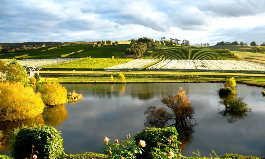 Josef Chromy Winery Tour and Lunch - Book Now | Experience Oz