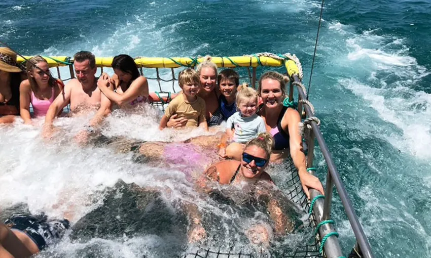 Jervis Bay Boom Netting Dolphin Cruise, 90 Minutes