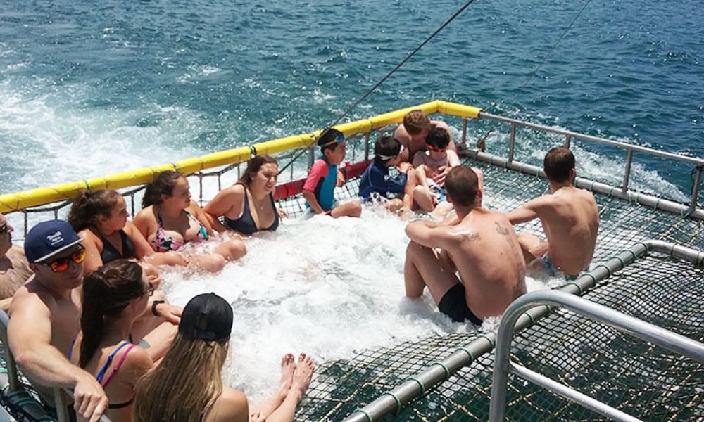 Jervis Bay Boom Netting Dolphin Cruise, 90 Minutes