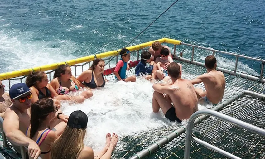 Jervis Bay Boom Netting Dolphin Cruise, 90 Minutes