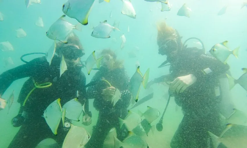 3 Day Certified Open Water Scuba Diving Course 