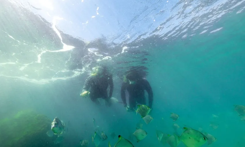 3 Day Certified Open Water Scuba Diving Course 