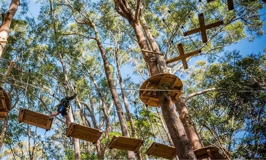 Dwellingup Treetop Ropes Course with Ziplining, 2 Hours