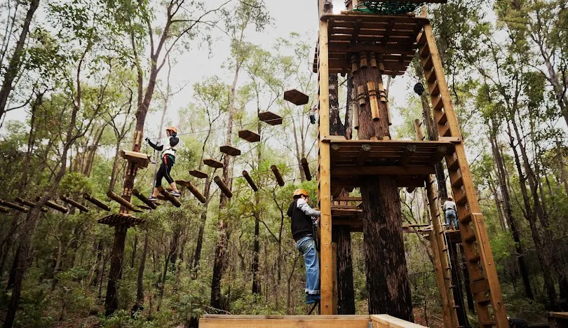 Dwellingup Treetop Ropes Course with Ziplining, 2 Hours