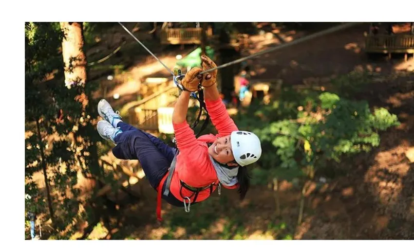 Dwellingup Treetop Ropes Course with Ziplining, 2 Hours