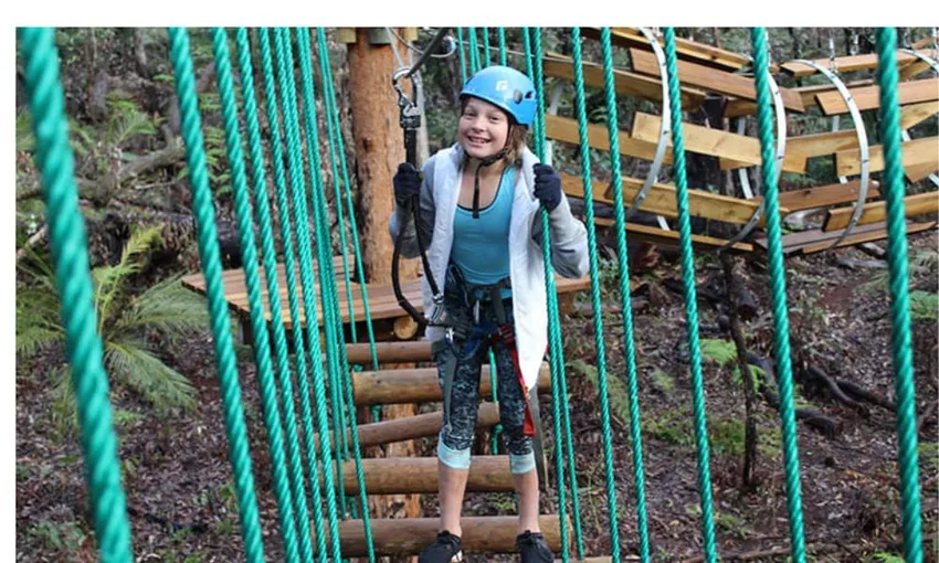 Dwellingup Treetop Ropes Course with Ziplining, 2 Hours