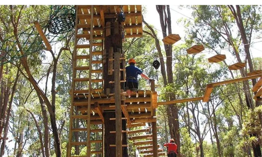 Dwellingup Treetop Ropes Course with Ziplining, 2 Hours