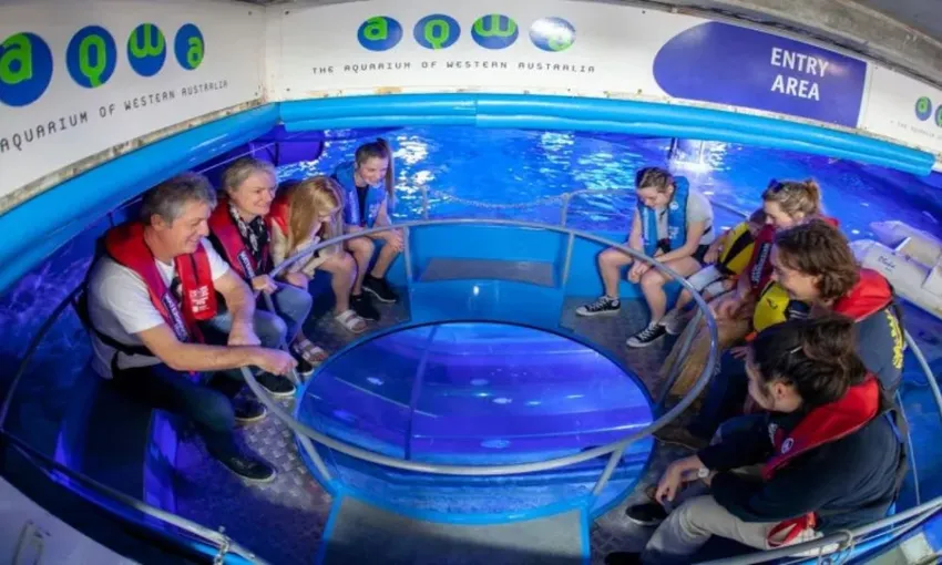 Glass Bottom Boat Tour at The Aquarium of Western Australia