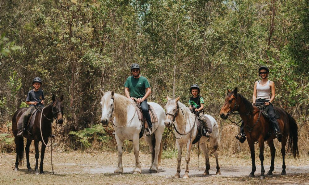 Horse Trail Ride, 90 Minutes - Byron Bay