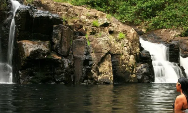 Glow Worms, Waterfalls & Rainforest Experience Byron Bay