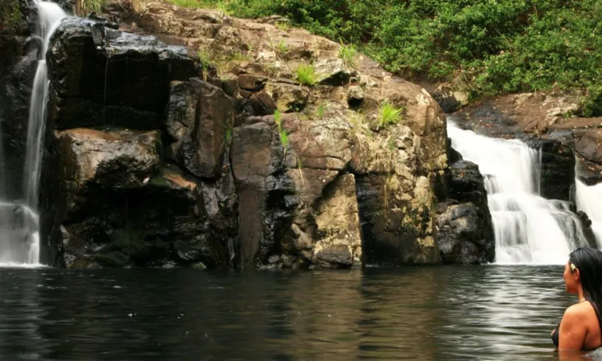 Glow Worms, Waterfalls & Rainforest Experience | Experience Oz