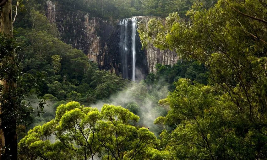 Glow Worms, Waterfalls & Rainforest Experience | Experience Oz
