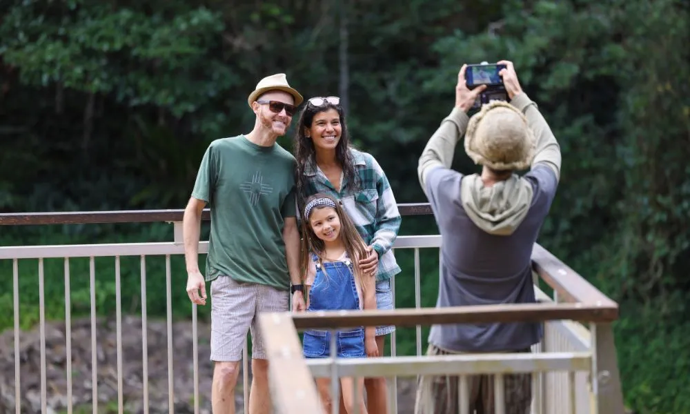 Glow Worms, Waterfalls & Rainforest Experience | Experience Oz-6