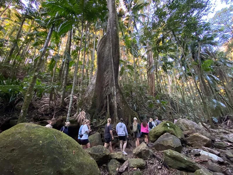Glow Worms, Waterfalls & Rainforest Experience | Experience Oz-6