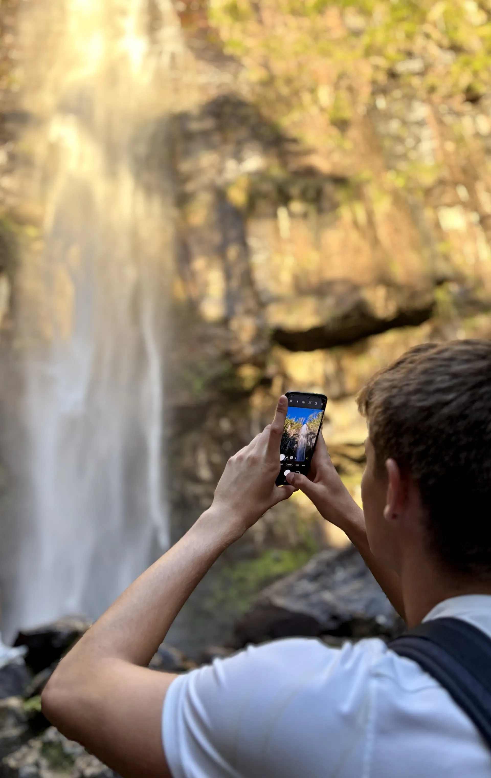 Glow Worms, Waterfalls & Rainforest Experience | Experience Oz-7