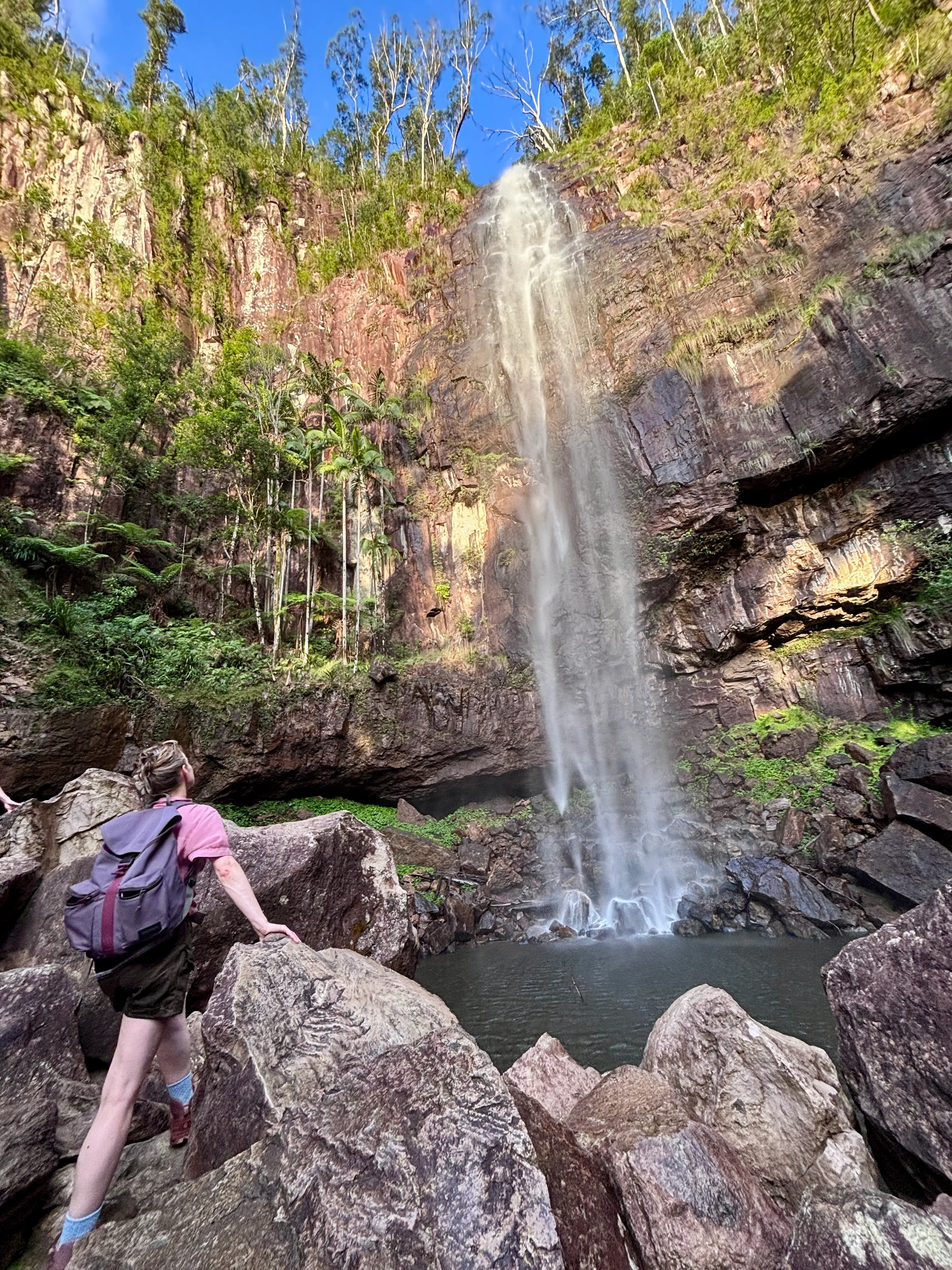Glow Worms, Waterfalls & Rainforest Experience | Experience Oz-8