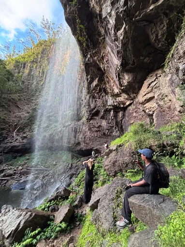 Glow Worms, Waterfalls & Rainforest Experience | Experience Oz