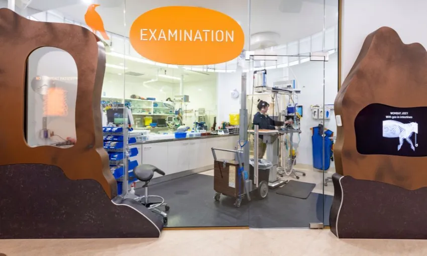 VIP Wildlife Experience at Healesville Sanctuary