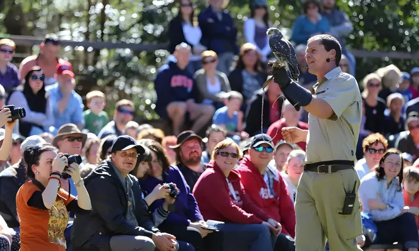 VIP Wildlife Experience at Healesville Sanctuary