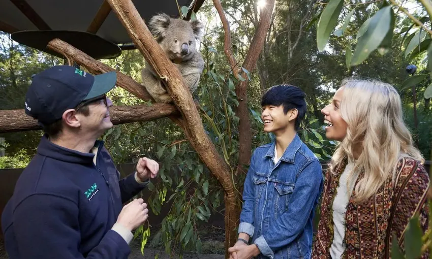 VIP Wildlife Experience at Healesville Sanctuary
