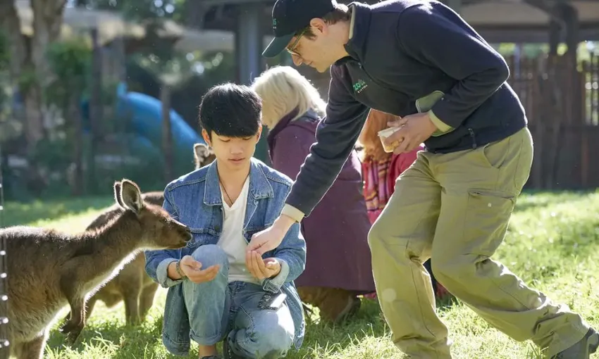 VIP Wildlife Experience at Healesville Sanctuary