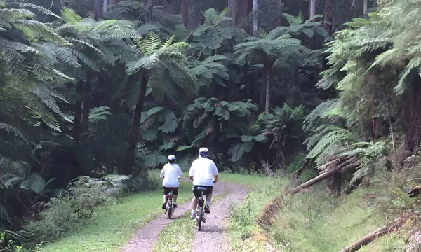 Electric Bike Tour - O'Shannassy Aqueduct Trail, Melbourne