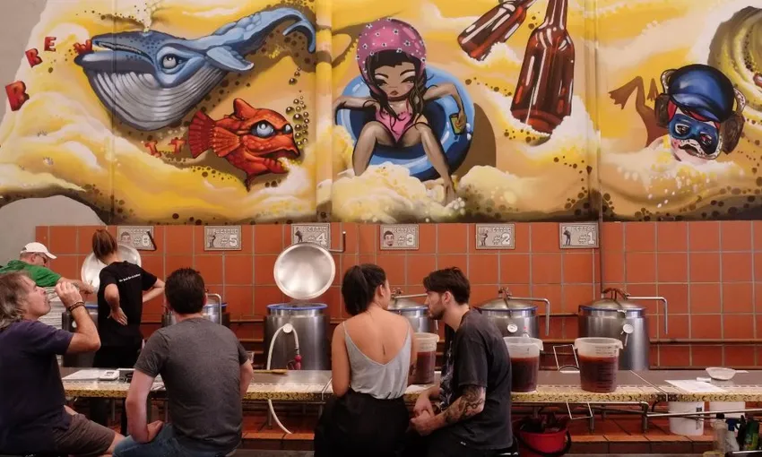 Brew Your Own Beer or Cider, 25 Litres