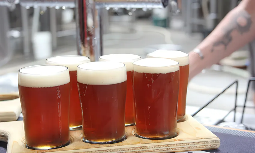 Sydney Northern Exposure Craft Brewery Tour with Lunch, Full Day