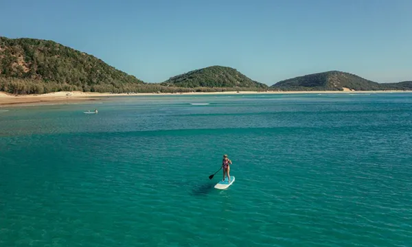 Epic Stand Up Paddle Wildlife Tour & Beach 4x4 Double Island Point - Noosa